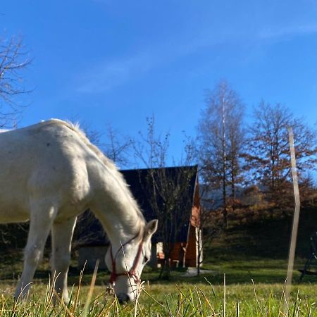 Vila Eco Kutak Mojkovac Exteriér fotografie