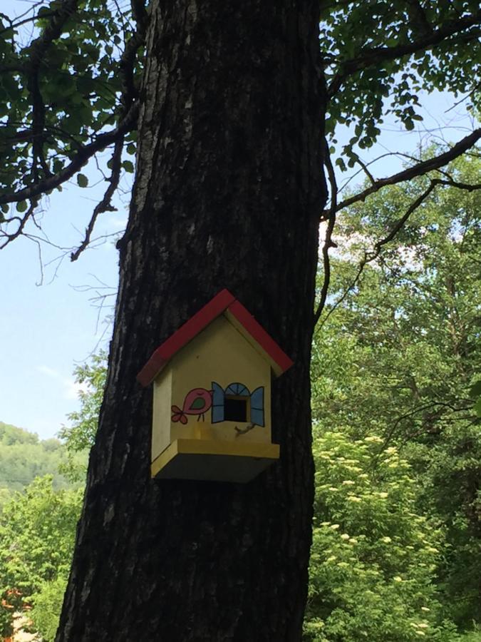 Vila Eco Kutak Mojkovac Exteriér fotografie