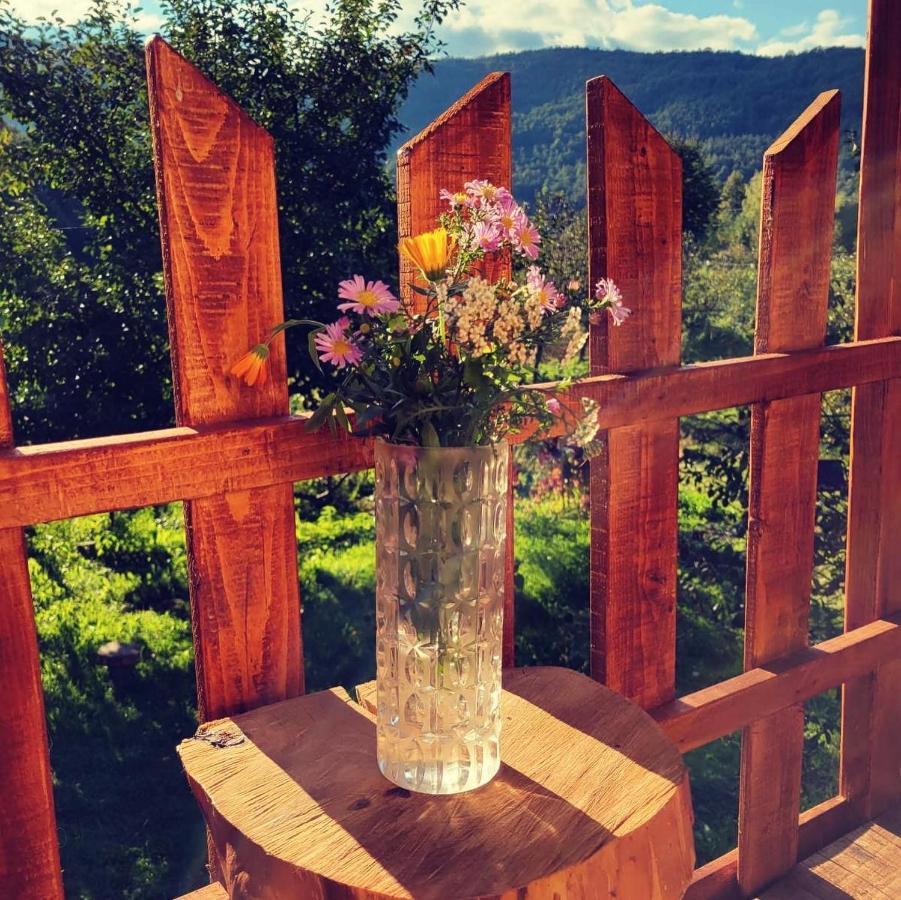 Vila Eco Kutak Mojkovac Exteriér fotografie
