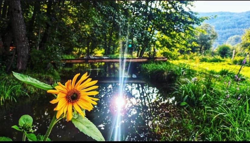 Vila Eco Kutak Mojkovac Exteriér fotografie