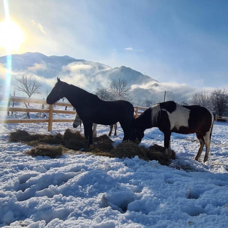 Vila Eco Kutak Mojkovac Exteriér fotografie