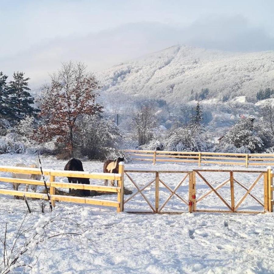 Vila Eco Kutak Mojkovac Exteriér fotografie